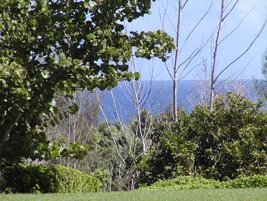 2nd image of 3785 Punahele Rd #44