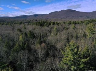 Brown Rd, Olive, NY 12461