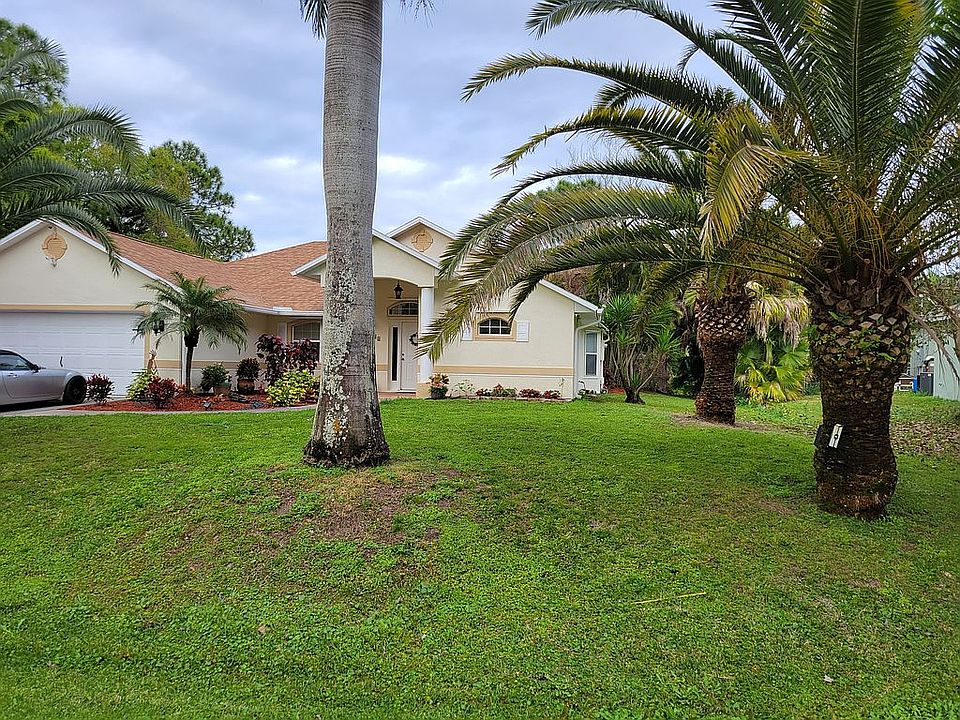 Very large, 80 ft Palms