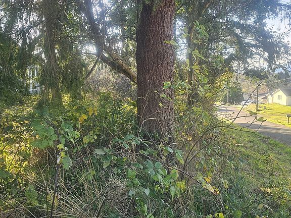 5th image of Tl 2100 Seattle Ave
