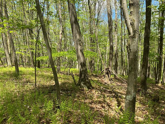 5th image of 0 Sylvan Grove Rd