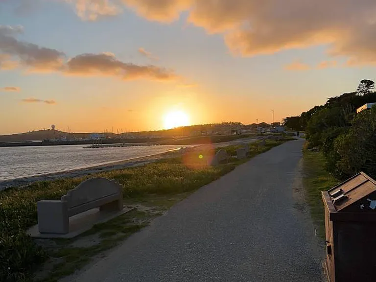 Another beach trail