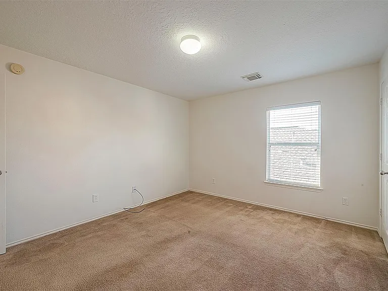 17210 Double Lilly Dr — Photo 29