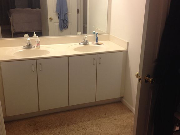 Master Bathroom Vanity