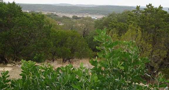 5th image of 20920 Oak Dale Dr