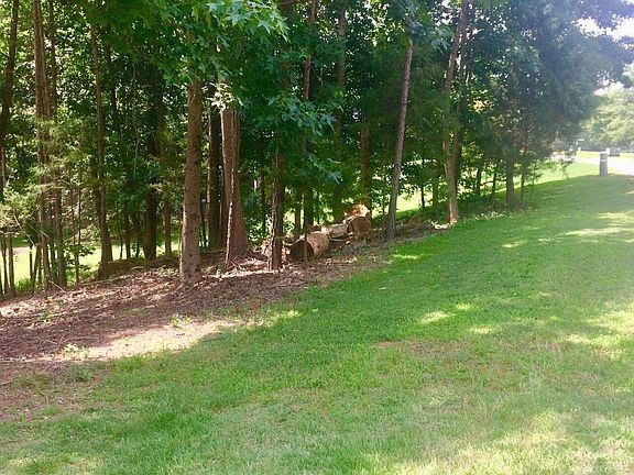 5th image of 0 Indigo Bunting Dr Lot 5