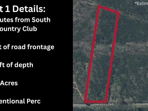 LOT 1 Forksville Rd, La Crosse, VA 23950
