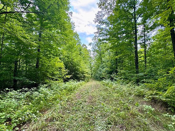 3rd image of 80AC Off Forest Rd #3350