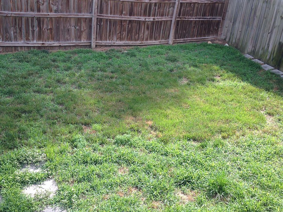 Nice backyard