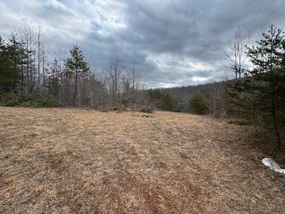 Brammer Spur Rd #0, Woolwine, VA, 24185