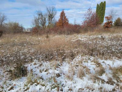 10374 Heatherlawn Ct, Jerome, MI, 49249