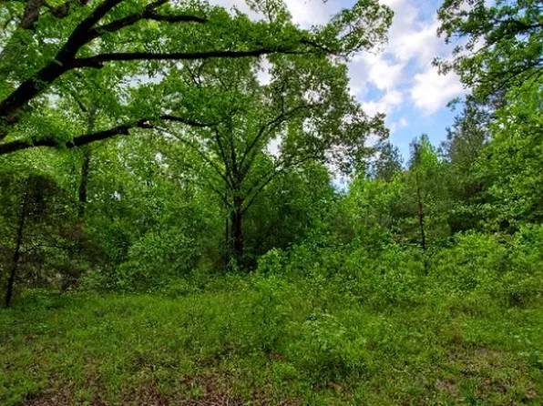 1009 Lee Road 651, Camp Hill, AL 36850