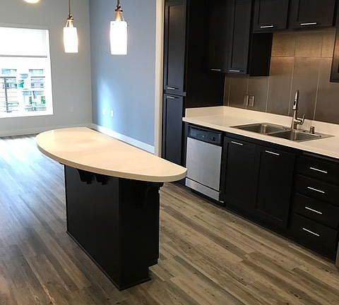 5th image of 456 N 10th Ave #602