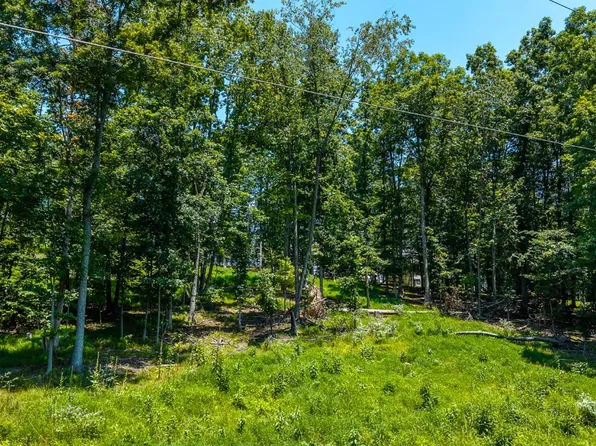 0 Clan Alpine Way, Glasgow, VA 24555