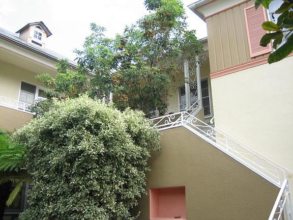 5th image of 1650 N Ogden Dr