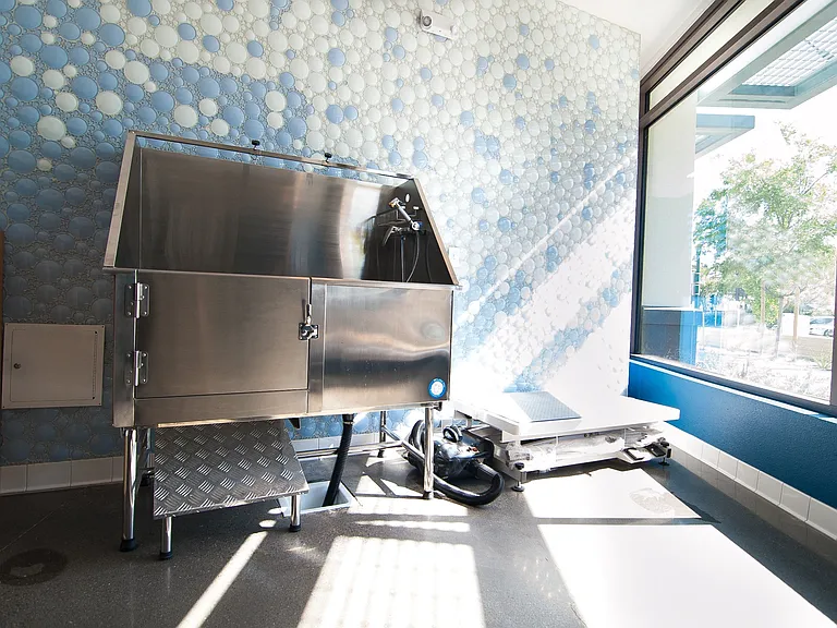 Cadence Apartments — Photo 6