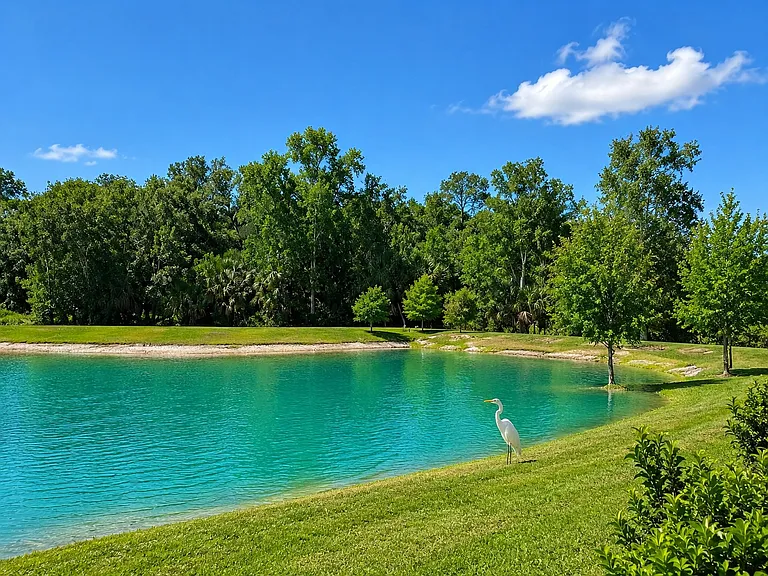 Lake View
