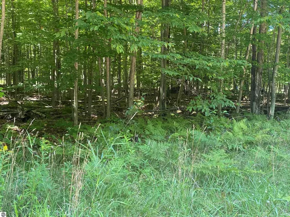 0 Hjelte Rd, Kewadin, MI 49648
