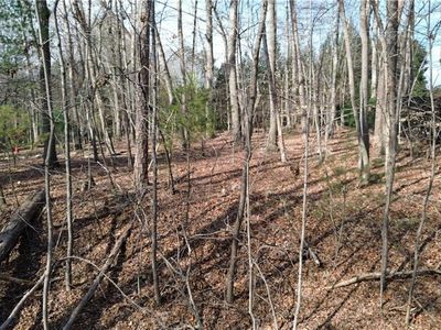 Tdb Forest Hills Ln, Elkin, NC, 28621