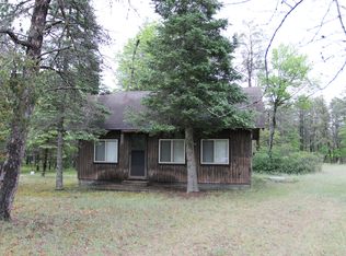 1369 S Stephan Bridge Rd, Grayling, MI 49738