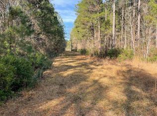 Jackson Village Rd, Georgetown, SC 29440