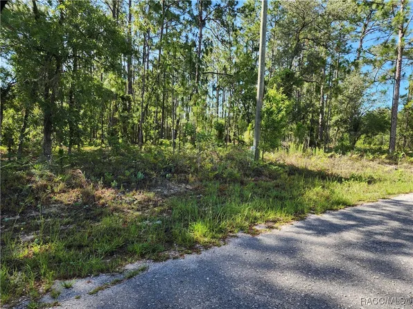 1476 W Diamond Dr, Citrus Springs, FL 34434