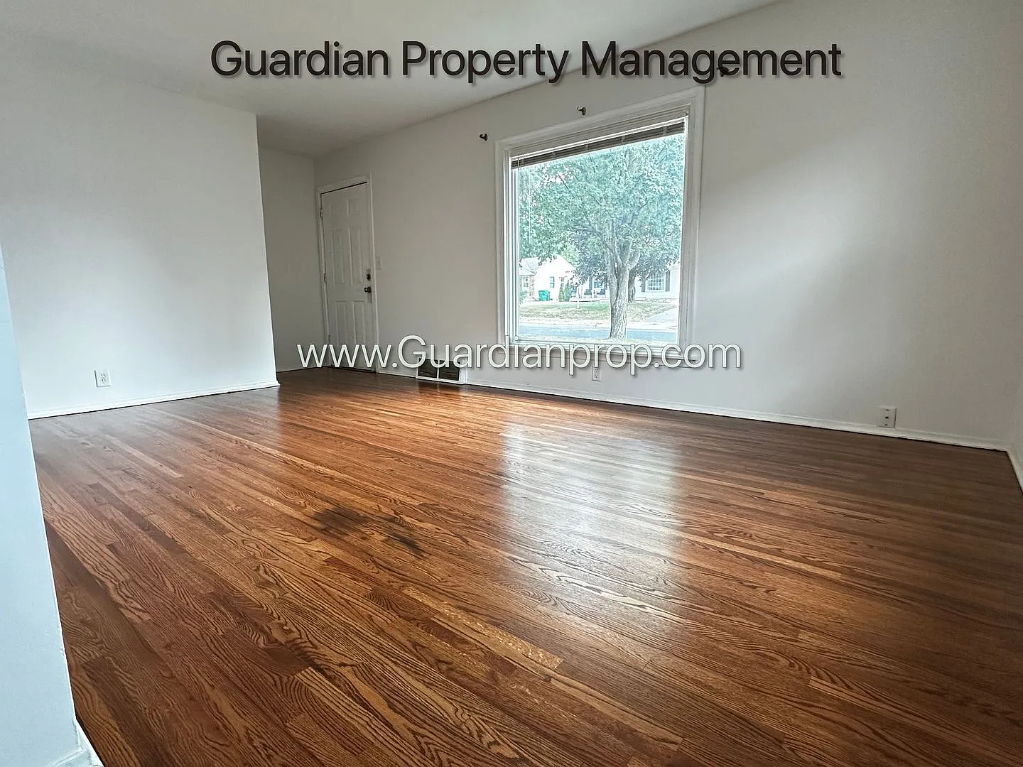 St Louis Park Single Family Home, 2 Baths, Office, Newly Finished Hardwood Floors — Photo 4