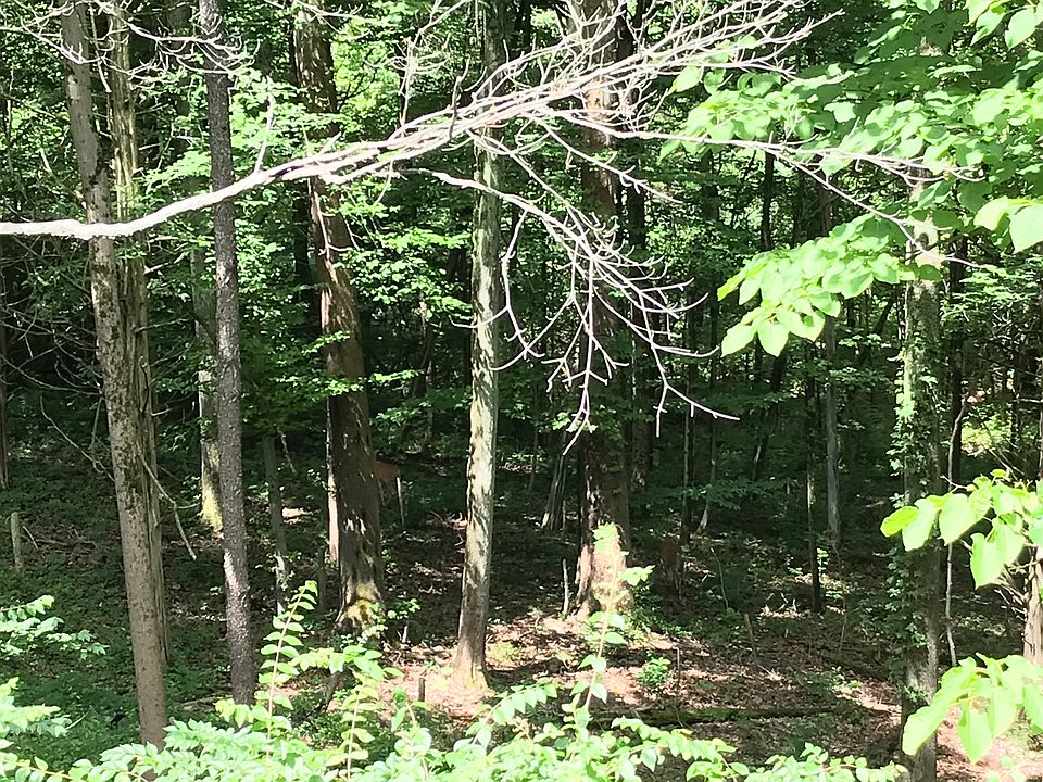 2nd image of English Creek Dr