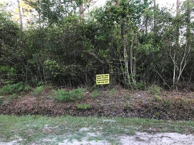 10135 Hennessey Ave, Hastings, FL, 32145