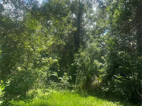 25138 Rattler Ln, Brooksville, FL 34601