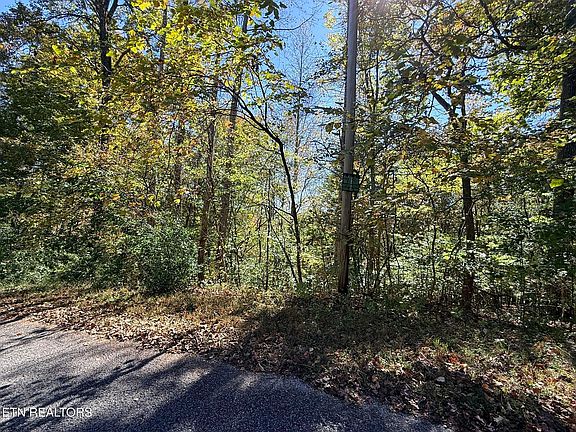 3rd image of Indian Creek Rd