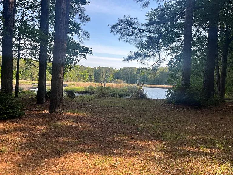 View from back porch