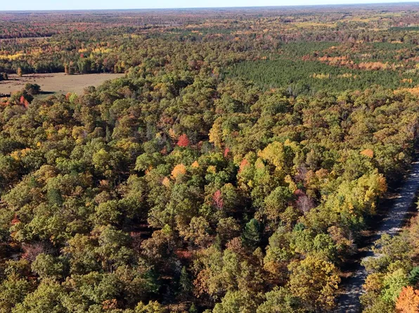 0 Grim Rd, Bentley, MI 48613