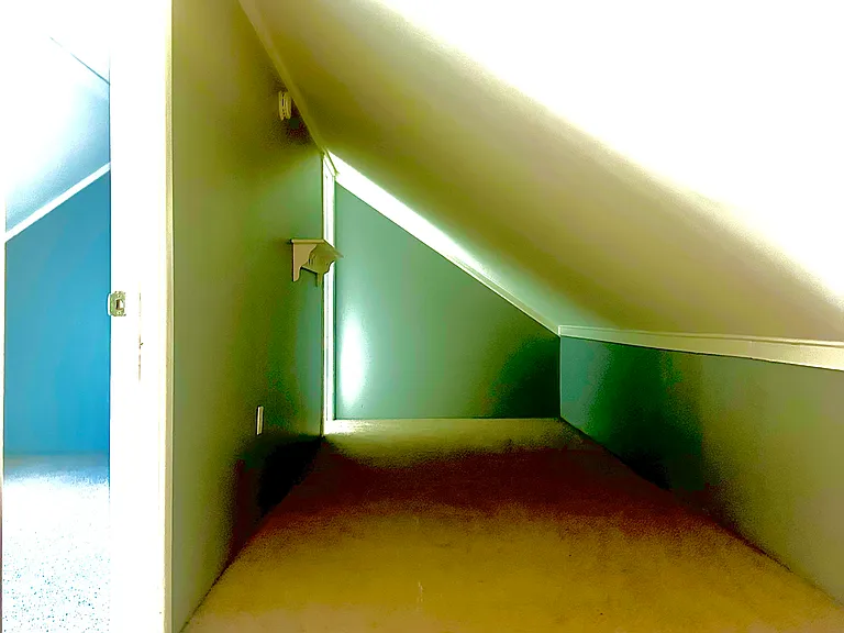 Hallway leading to the office/play room/storage w no closet.