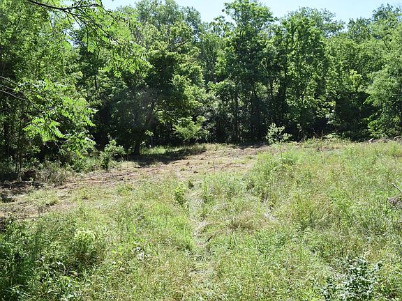 Large food plot area near the center of the property.