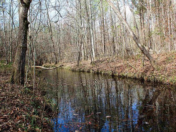 3rd image of Reed Creek Dr #1