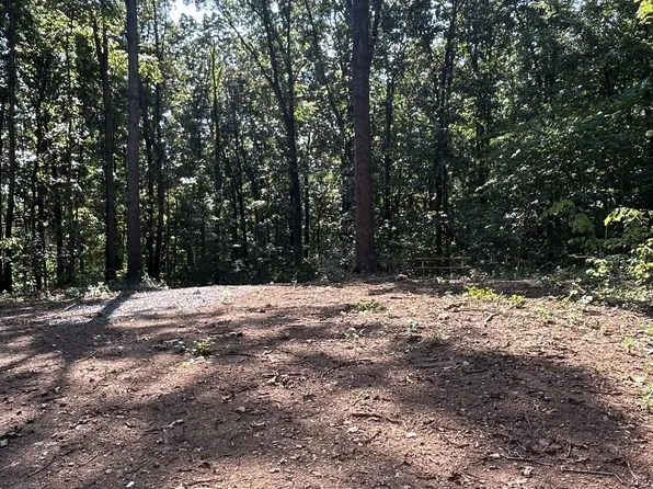 296 County Rd, Riceville, TN 37370