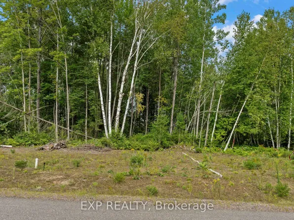 14 Birchview Dr, Madawaska Valley, ON K0J 1B0