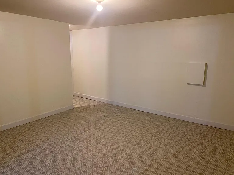 Bonus room in basement