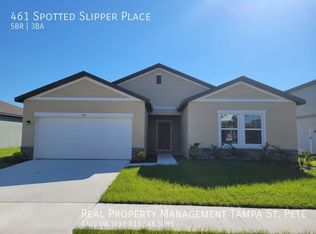 461 Spotted Slipper Pl, Ruskin, FL 33570