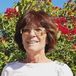 Ann McIntosh