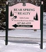 Bear Spring Realty, Agent in Walton, NY