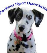 Larry & Kathy Besa, Agent in Newtown Square, PA