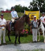 Rodger Rinehart, Agent in Lexington, VA
