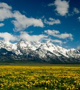 Andria Clancy, Agent in Wilson, WY