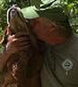 Greg Burke, Agent in Bedford, NY