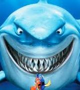 Mark The Shark, Agent in Houston, TX