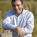 , Real Estate Agent in Toms River