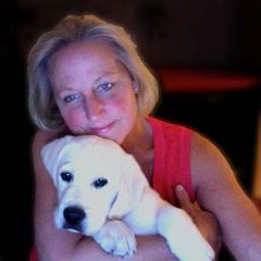 Patricia Driscoll Real Estate Agent In Greenwich Ny Reviews Zillow