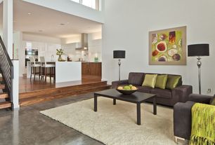 Modern Living Room with Concrete floors, Tray ceiling with accent lighting, Sunken living room, Shag Ivory Area Rug